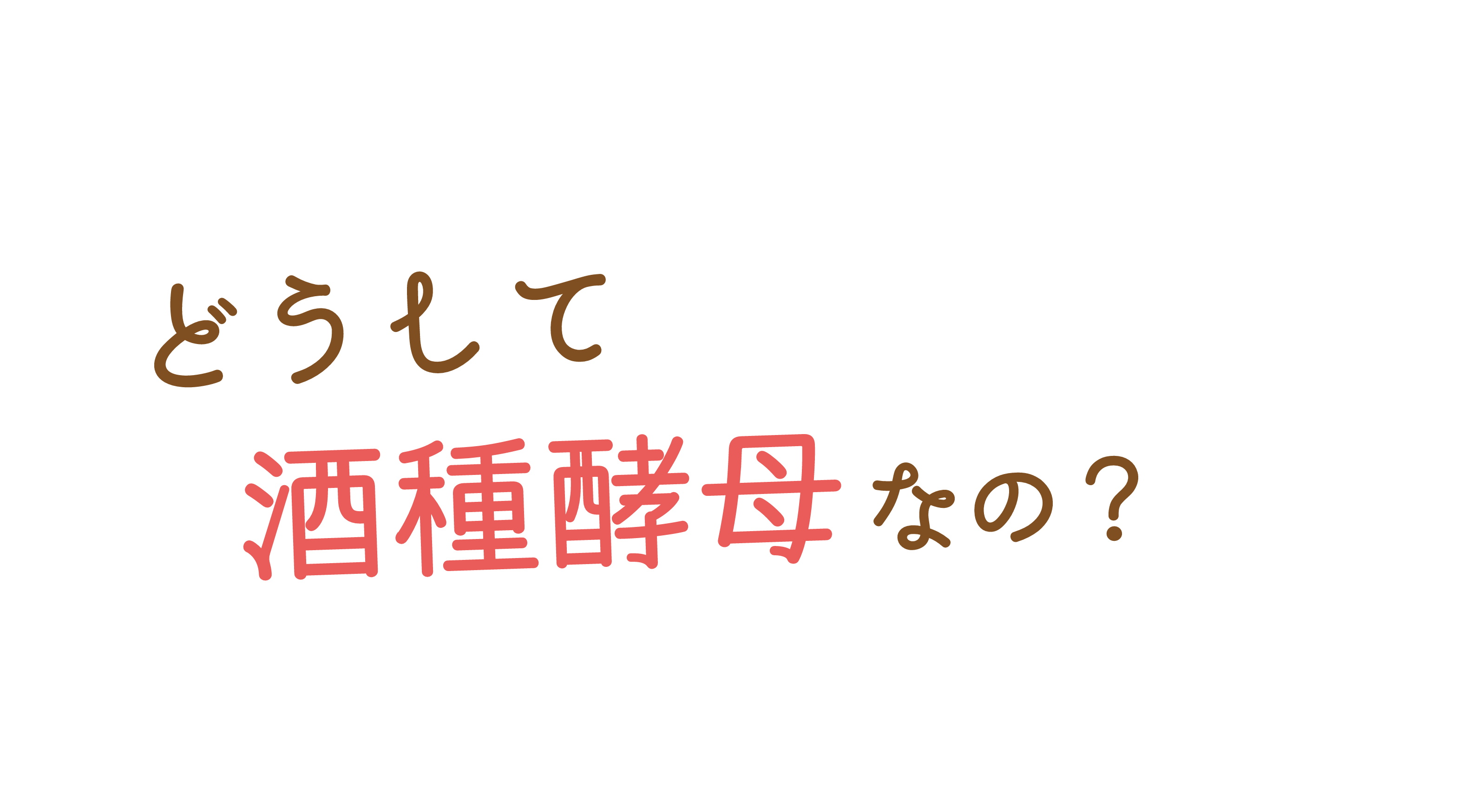 どうして酒種酵母なの?